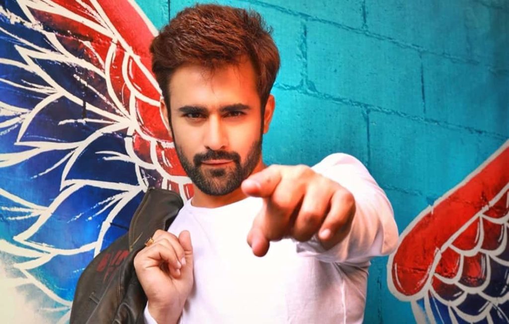 pearl-v-puri