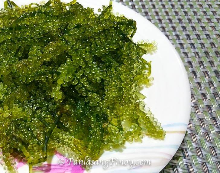 What are Sea Grapes or Lato? Panlasang Pinoy