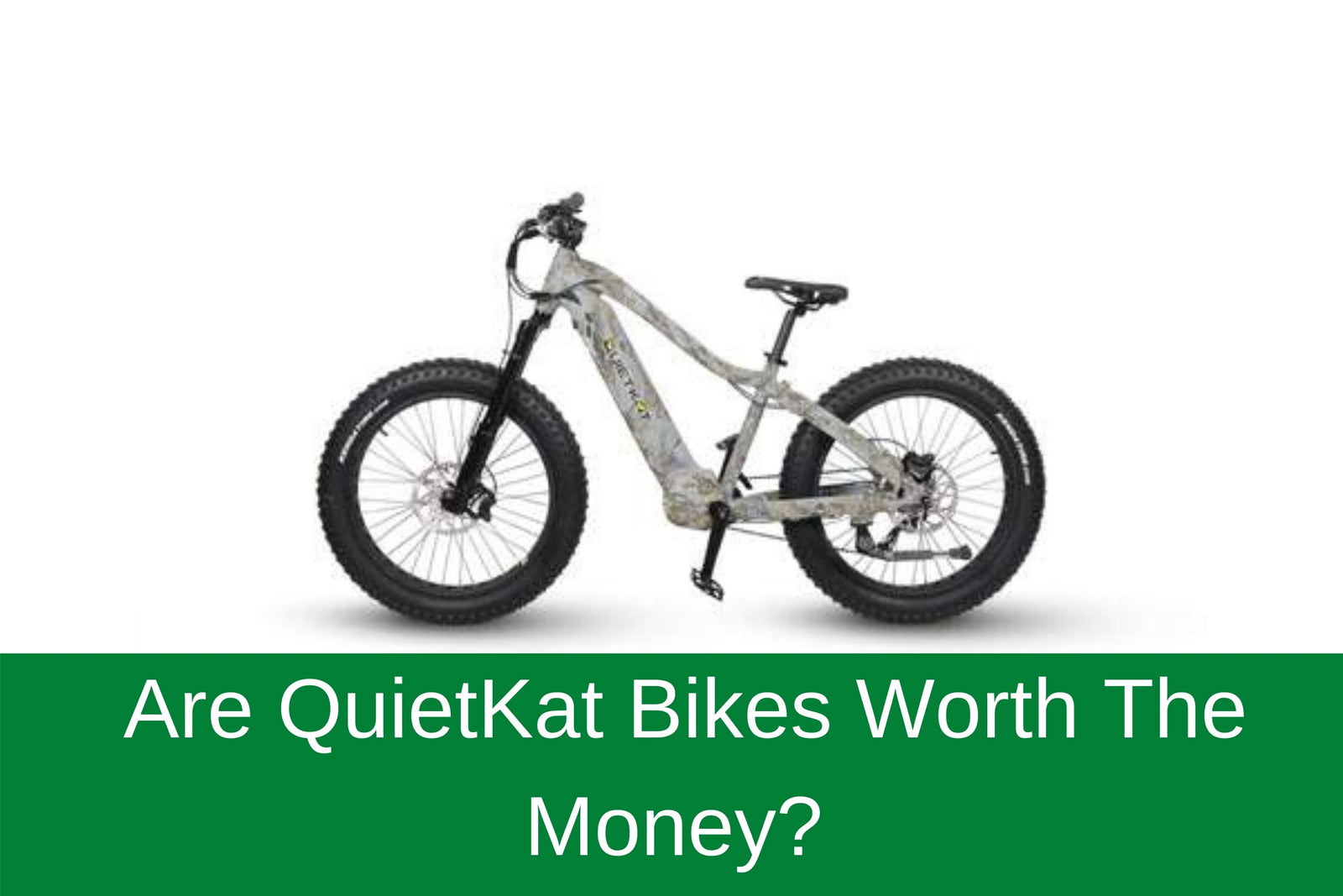Quiet cat 2025 bike dealers