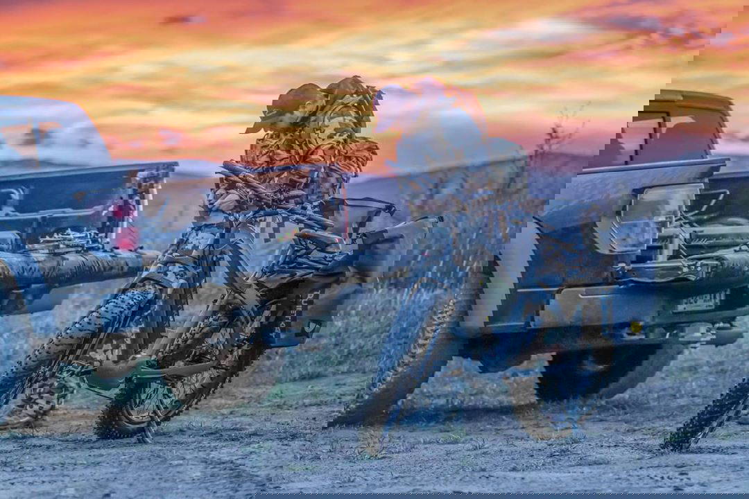 Beginner's Guide to Buying a Hunting eBike That Will Save Money and Time