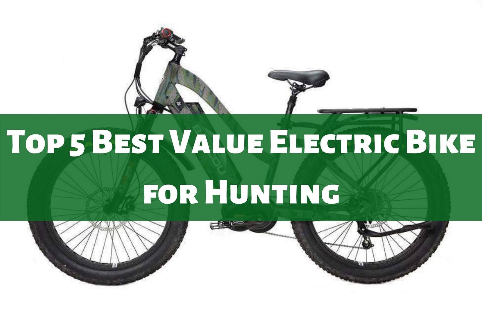 Top 5 Best Value Electric Bike for Hunting