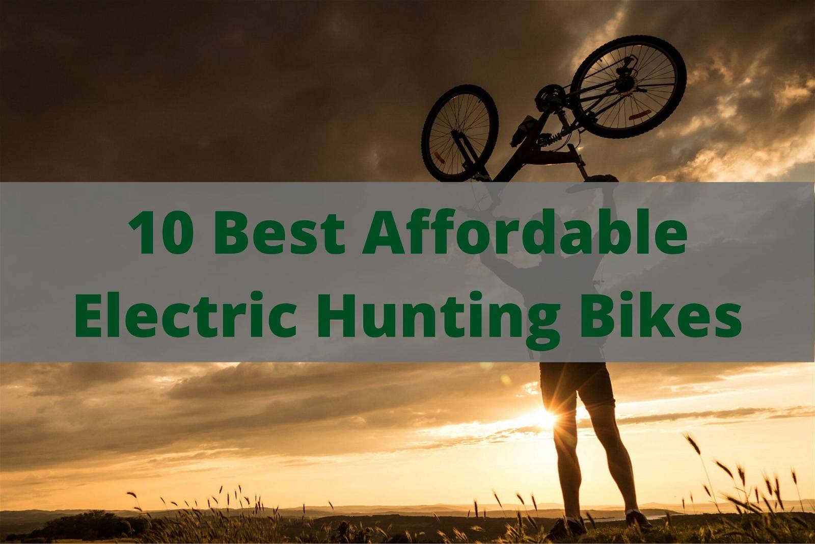 10 Best Affordable Electric Hunting Bikes