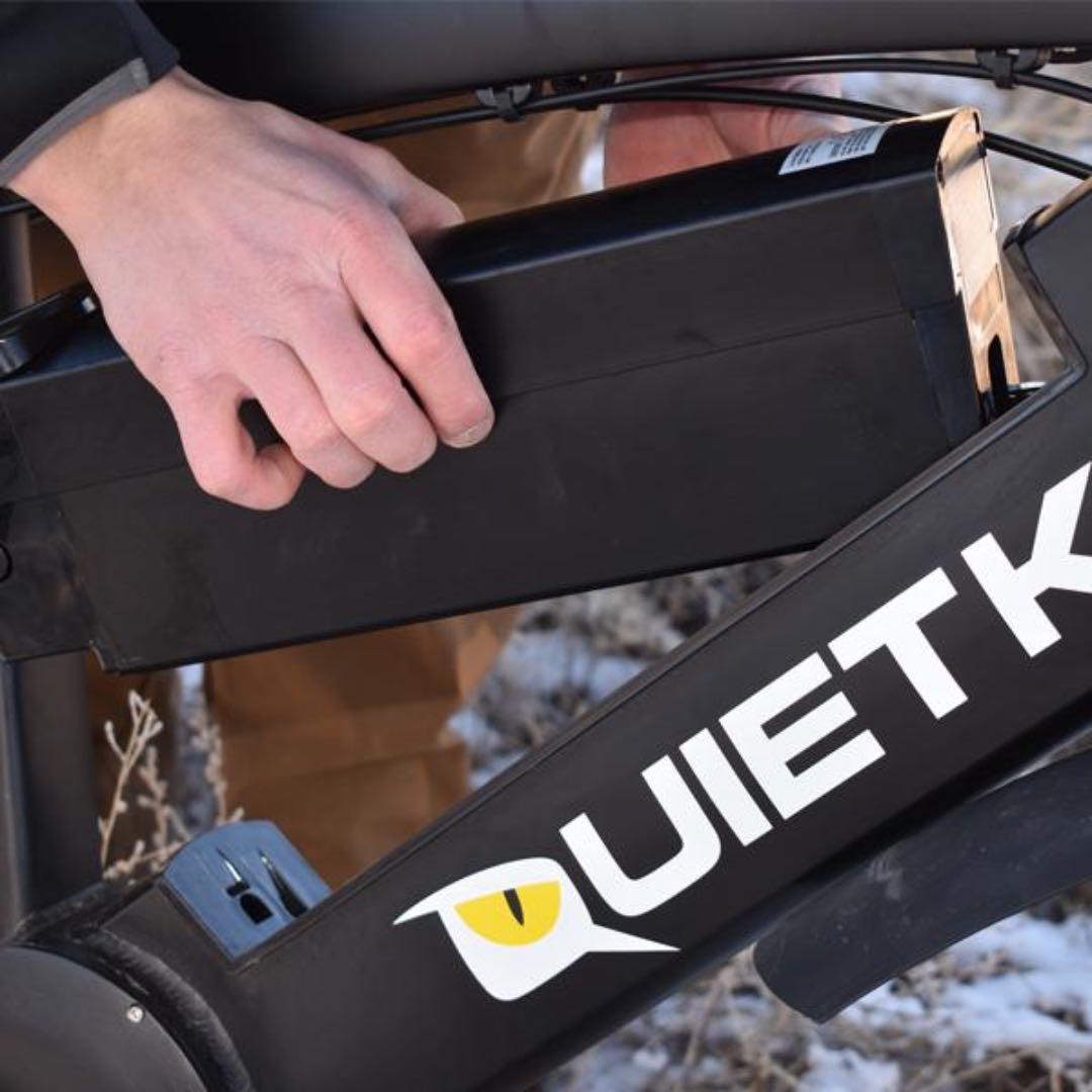 Electric bike battery cost discount