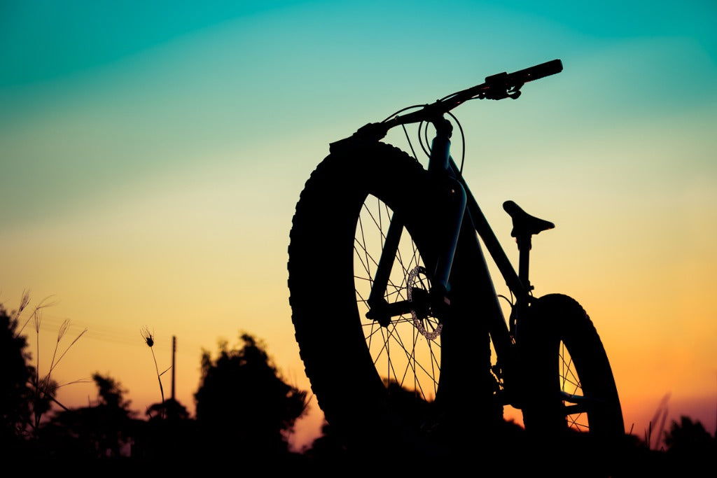 Big wheel mountain 2025 bike
