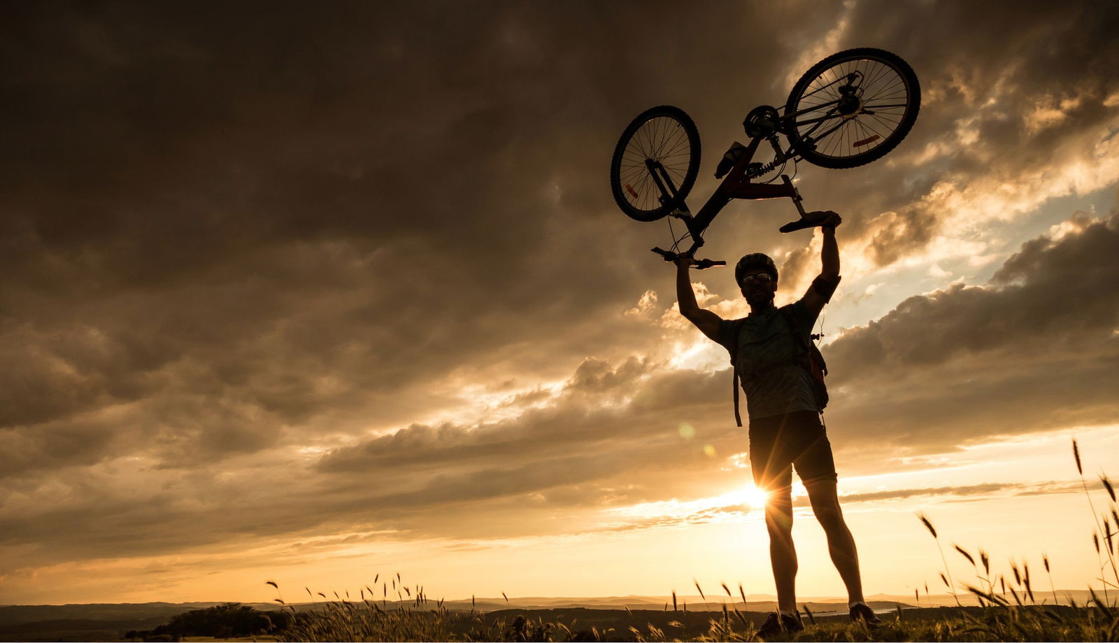 How much should a bmx bike weigh best sale