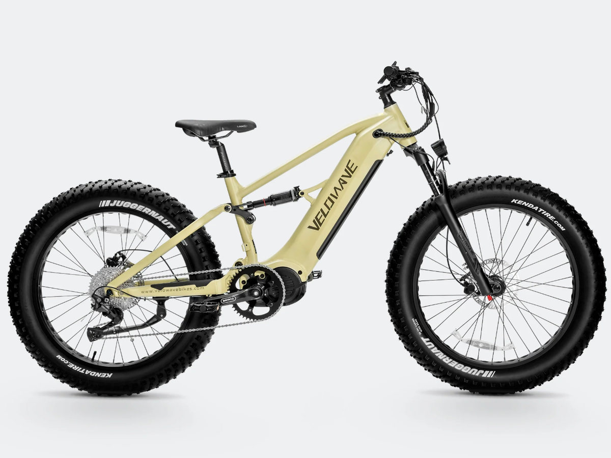 VELOWAVE Brawny XM 1000W Fat Tire Electric Mountain Bike