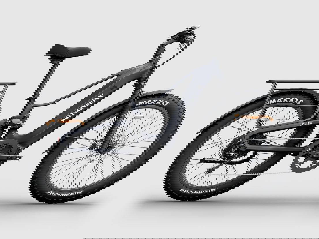 Himiway D5 2.0 Full Suspension Electric Bike