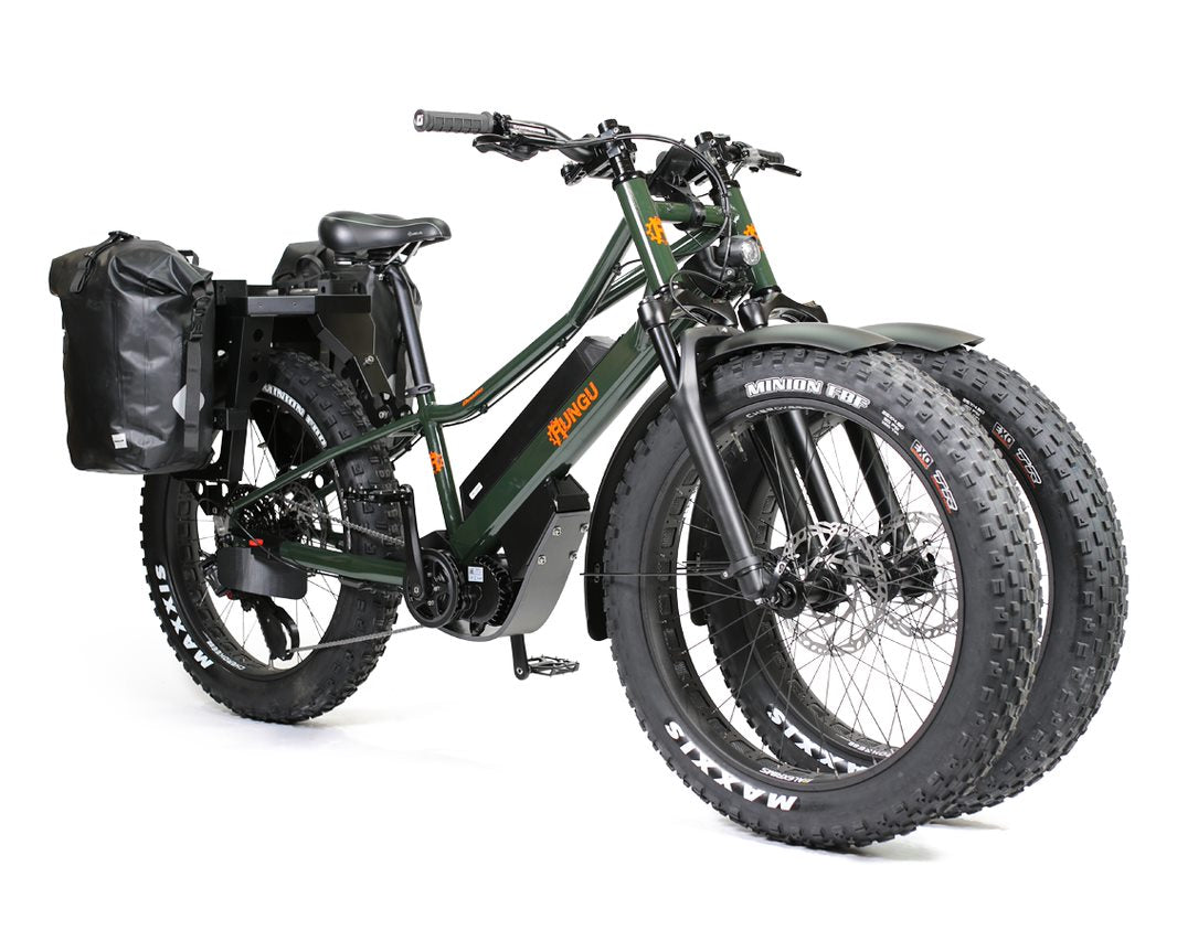 Dual front hotsell wheel electric bike