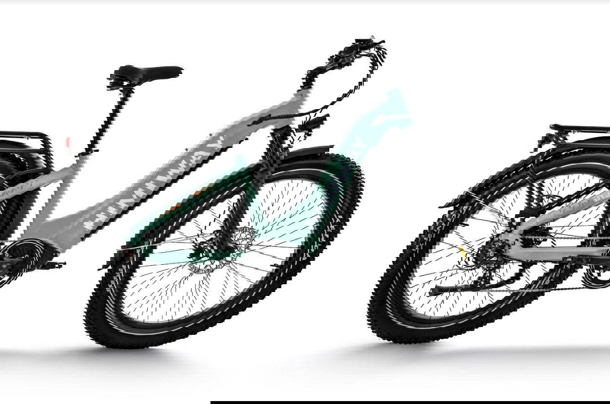 Zebra D5 ST in black & white gradient, side profile