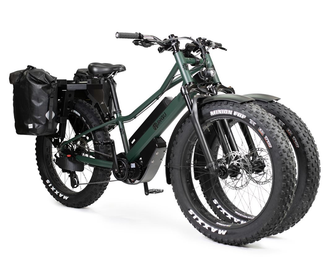 Rough terrain 3 wheel electric bike hotsell
