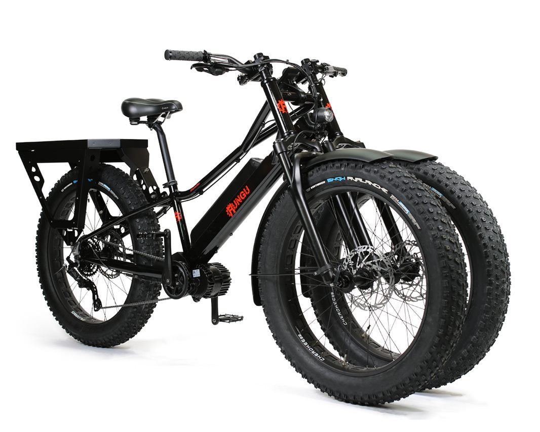 Rungu 3 wheel bike top