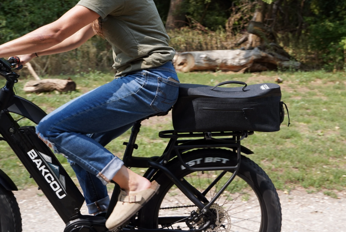 Pannier for electric 2025 bike