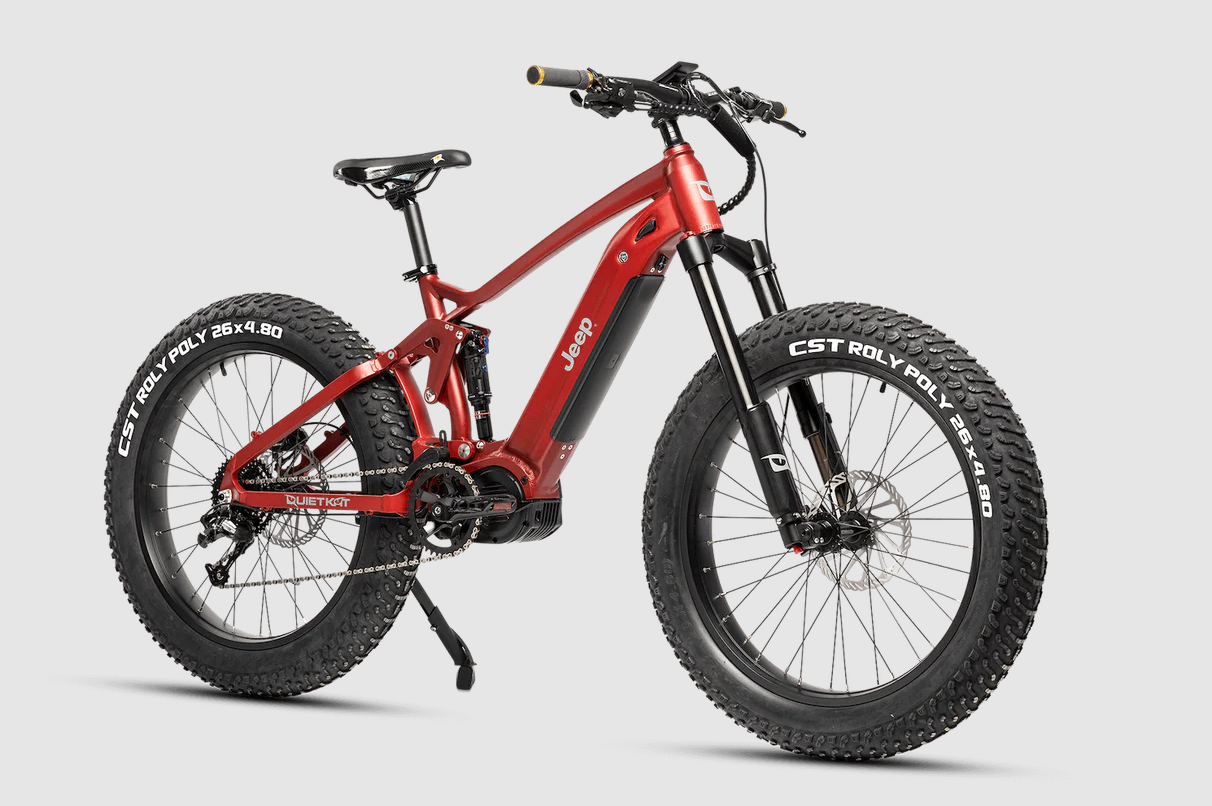 Quiet cat bike for top sale