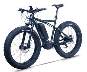 Christini awd online fat bike