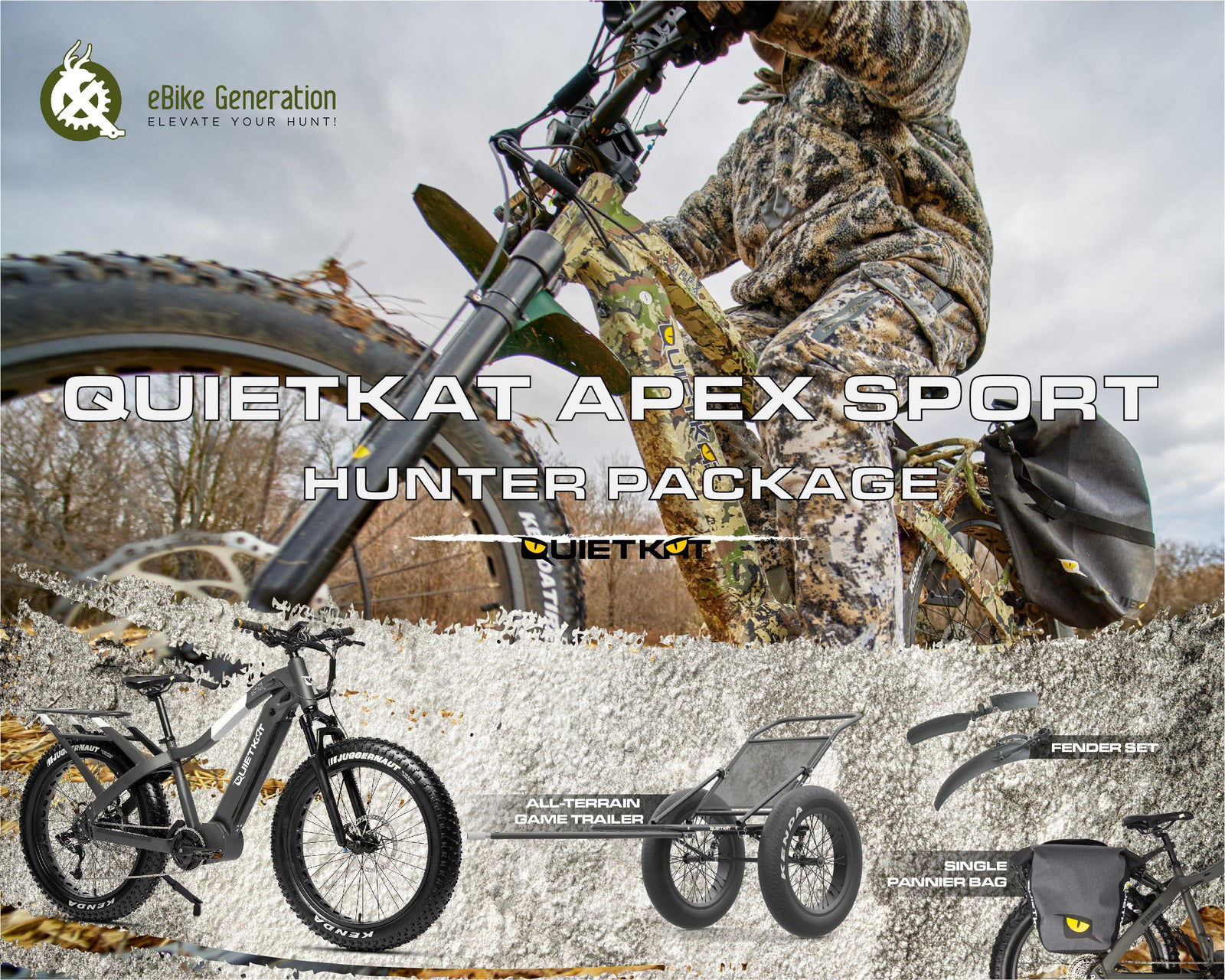 Quiet cat bike price online